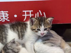 -粮心小农·大头虾亲子生态园(长发店)