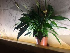 -管氏翅吧(国展店)