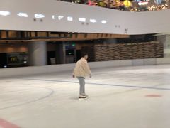 -TheRink大零溜冰场(IFS国金中心店)