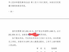 -上海领胜律师团队·法律咨询