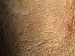 -红宝石·鲜奶小方·海派西点房(莘庄龙之梦店)