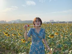 -光明小镇欢乐田园