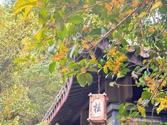 -壹笑茶庄·农家菜土菜杭帮菜