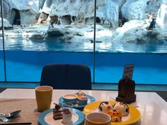 -帝企鹅自助餐厅•儿童岛•真企鹅(长隆企鹅酒店)