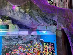 -威海华夏城景区