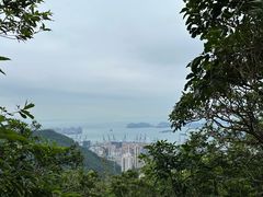 -梧桐山风景名胜区