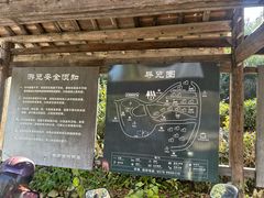 -杨家堂村