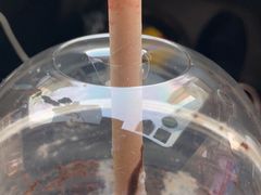 -星巴克(天津大悦城第二店)