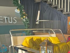 -Cetus coffee鲸鱼座咖啡·拼豆(二仙桥公园店)
