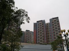 -坂田天虹