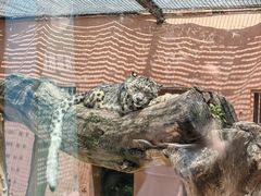 -青藏高原野生动物园