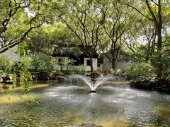 -上海醉白池公园