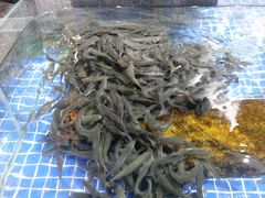 -宝轩渔府·老字号海鲜·正宗津菜(水上店)