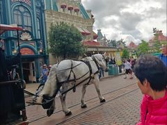 -巴黎迪士尼乐园