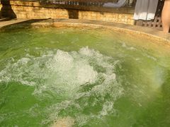 -春晖园度假酒店温泉