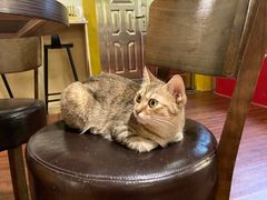 -H立方实景剧情密室(天河旗舰店)