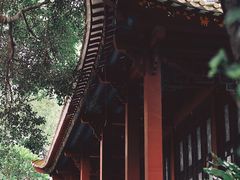 -顺峰山公园
