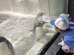 -大连圣亚海洋世界