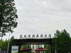 -黄海国家森林公园