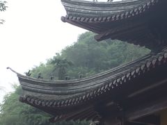 -焦山风景区