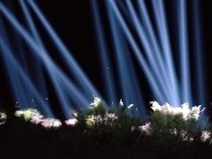 -天适樱花悠乐园