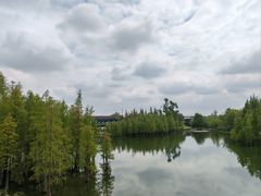 -白鹭湾湿地公园