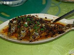鱼-姚林轩