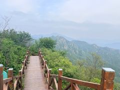 -大岭沟猕猴桃谷风景区