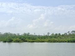 -东寨港红树林旅游区