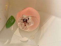 -好利来(七宝领展广场店)