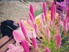 -人民公园(罗湖区)