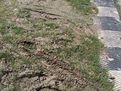 -菊园百果园
