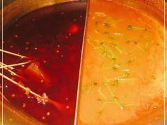 -九鼎轩脆毛肚火锅(三钢里店)