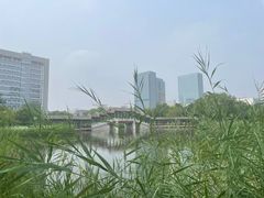 -西海子公园