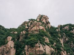 -大岭沟猕猴桃谷风景区