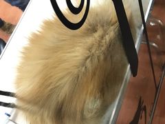 -鑫艺宠物美容培训学校