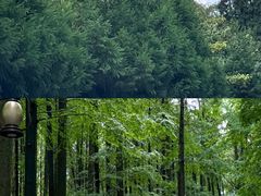 -山王坪喀斯特国家生态公园