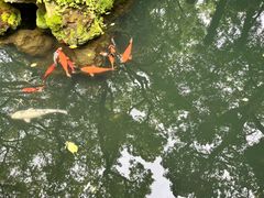 -天一阁博物院