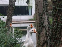 -中国丝绸博物馆