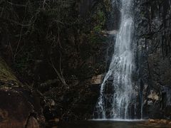 -姑婆山旅游区
