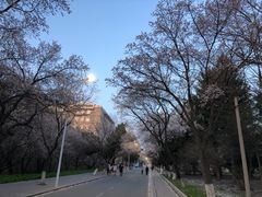-吉林大学(南岭校区)