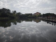 -溱湖国家湿地公园