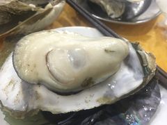 -蚝专家(北滘店)