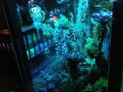 -贰麻酒馆(金山斗酒场店)