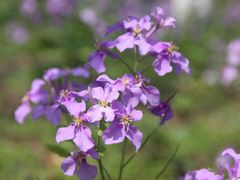 -艾溪湖湿地公园