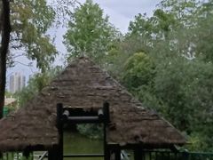 -黄兴公园