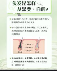 -Bollins波林丝•专研护发中心