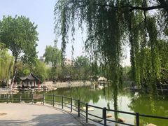 -莲湖公园