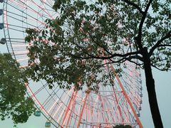 -南昌之星游乐场