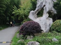 -苏州环秀晓筑养生度假村